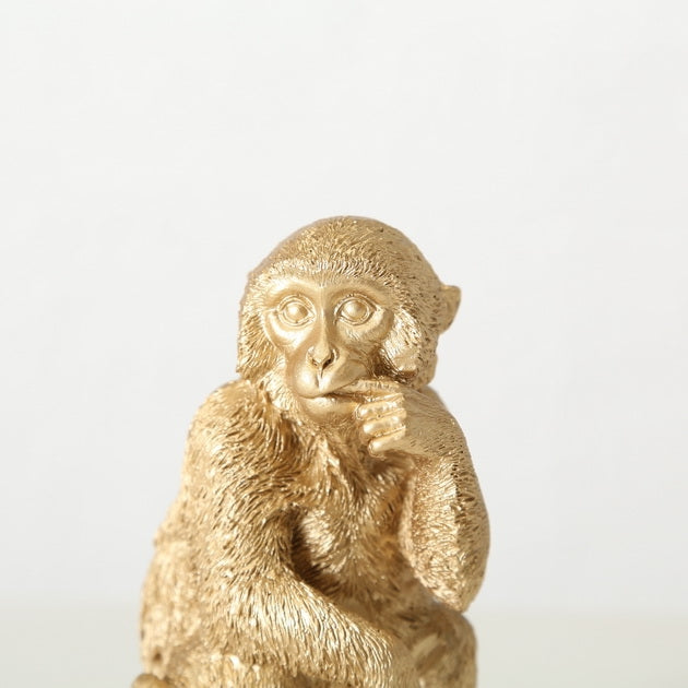Boltze Aap goud